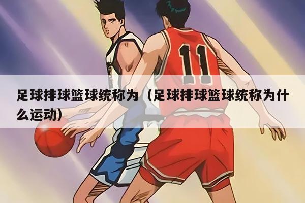 足球排球篮球统称为（足球排球篮球统称为什么运动）