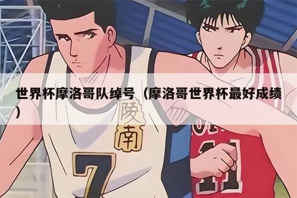 世界杯摩洛哥队绰号（摩洛哥世界杯最好成绩）