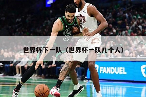 世界杯下一队（世界杯一队几个人）