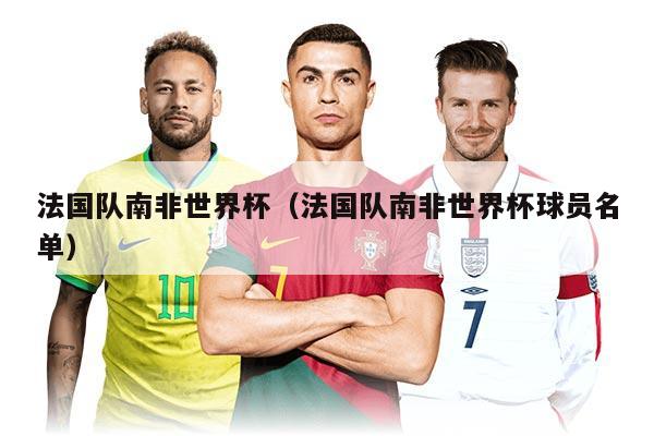法国队南非世界杯（法国队南非世界杯球员名单）