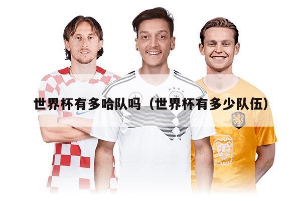 世界杯有多哈队吗（世界杯有多少队伍）