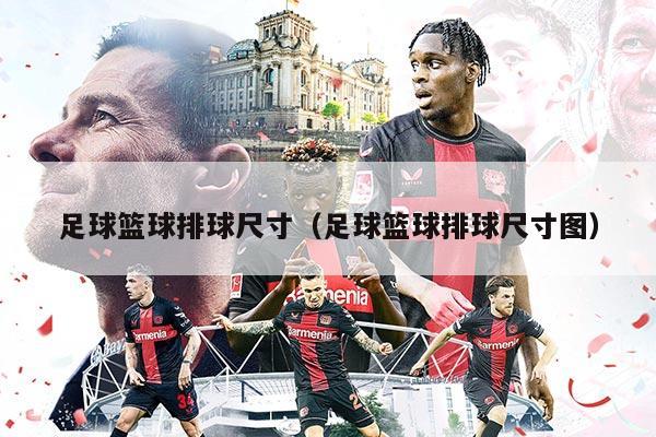 足球篮球排球尺寸（足球篮球排球尺寸图）