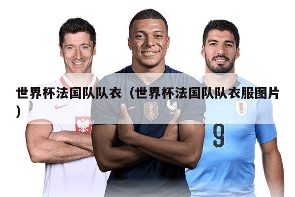 世界杯法国队队衣（世界杯法国队队衣服图片）