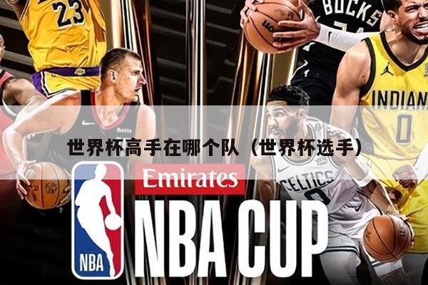 世界杯高手在哪个队（世界杯选手）