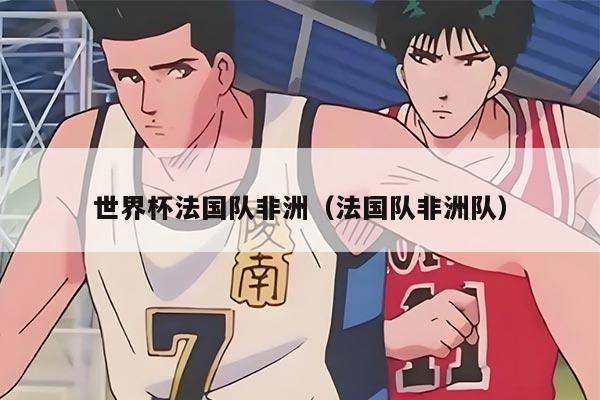 世界杯法国队非洲（法国队非洲队）