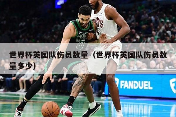 世界杯英国队伤员数量（世界杯英国队伤员数量多少）