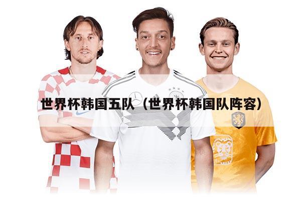 世界杯韩国五队（世界杯韩国队阵容）