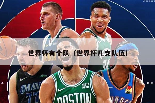 世界杯有个队（世界杯几支队伍）