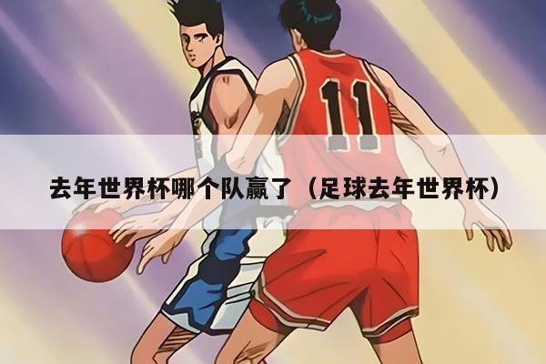 去年世界杯哪个队赢了（足球去年世界杯）