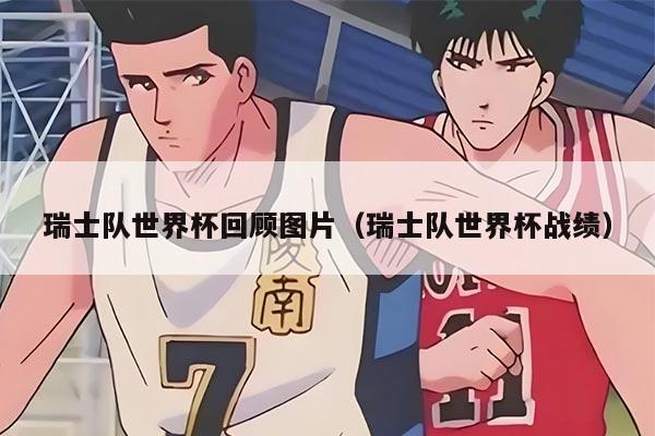 瑞士队世界杯回顾图片（瑞士队世界杯战绩）