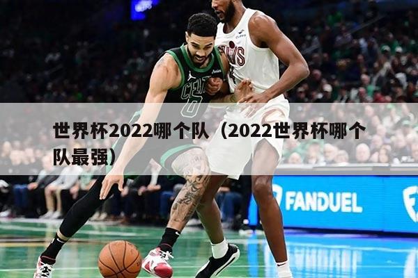 世界杯2022哪个队（2022世界杯哪个队最强）