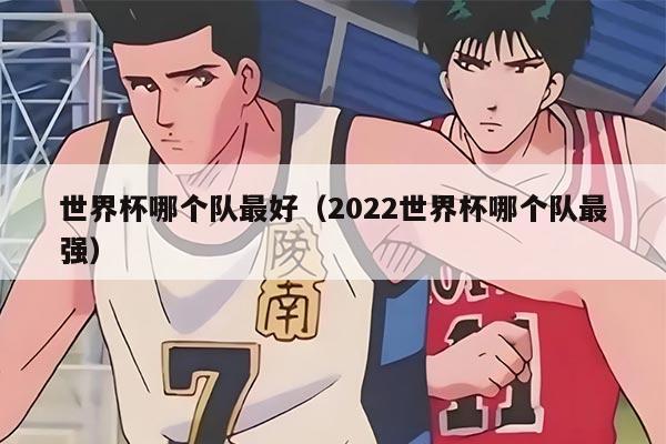 世界杯哪个队最好（2022世界杯哪个队最强）