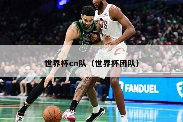 世界杯cn队（世界杯团队）