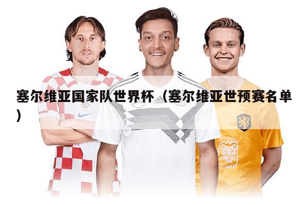 塞尔维亚国家队世界杯（塞尔维亚世预赛名单）