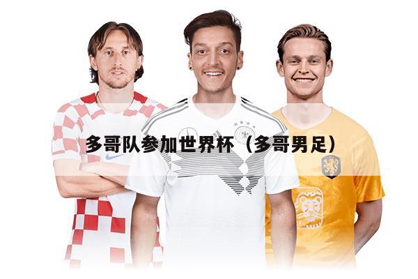 多哥队参加世界杯（多哥男足）