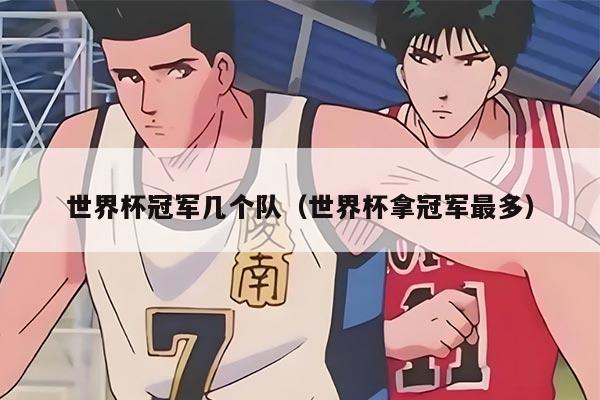 世界杯冠军几个队（世界杯拿冠军最多）