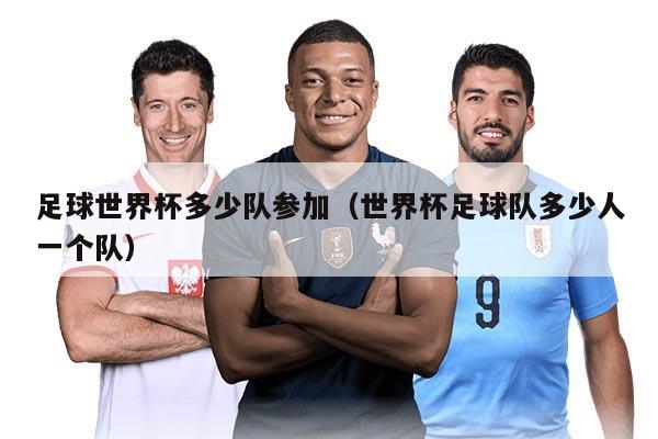 足球世界杯多少队参加（世界杯足球队多少人一个队）