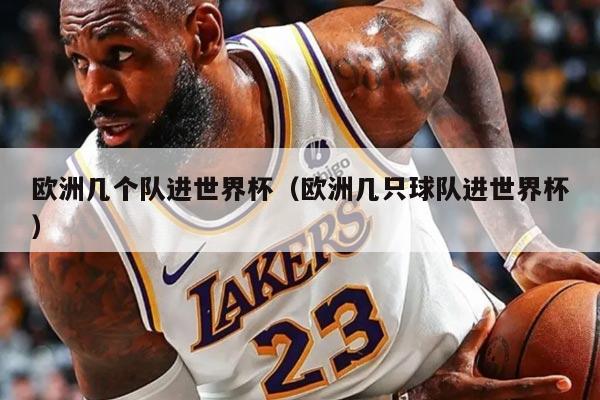 欧洲几个队进世界杯（欧洲几只球队进世界杯）