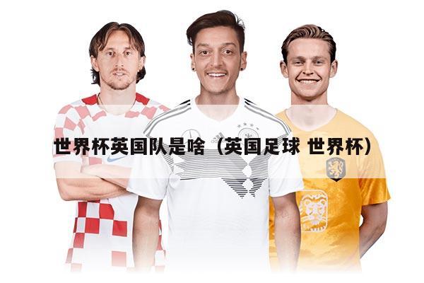 世界杯英国队是啥（英国足球 世界杯）