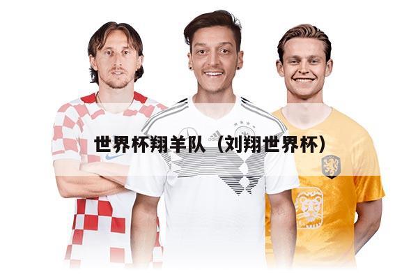 世界杯翔羊队（刘翔世界杯）