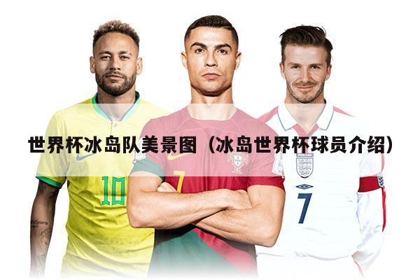 世界杯冰岛队美景图（冰岛世界杯球员介绍）