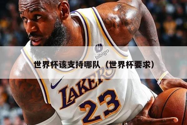 世界杯该支持哪队（世界杯要求）