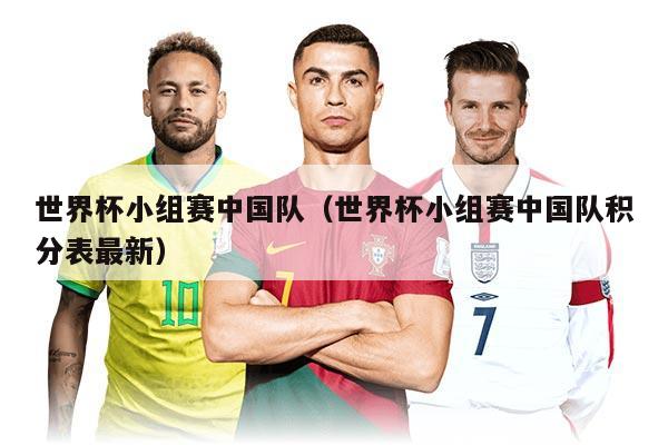 世界杯小组赛中国队（世界杯小组赛中国队积分表最新）