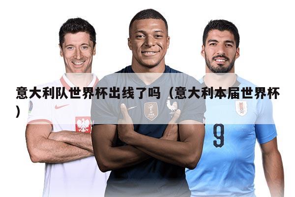 意大利队世界杯出线了吗（意大利本届世界杯）
