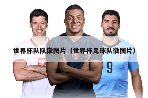 世界杯队队徽图片（世界杯足球队徽图片）