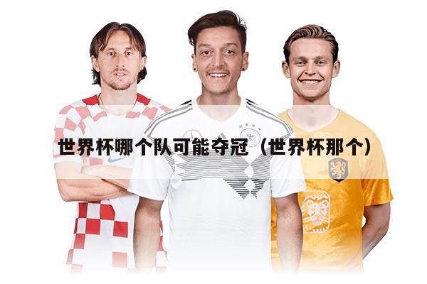世界杯哪个队可能夺冠（世界杯那个）