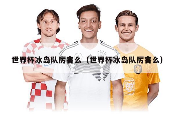 世界杯冰岛队厉害么（世界杯冰岛队厉害么）