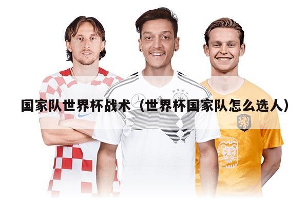 国家队世界杯战术（世界杯国家队怎么选人）