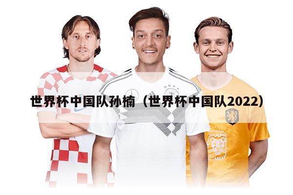 世界杯中国队孙楠（世界杯中国队2022）