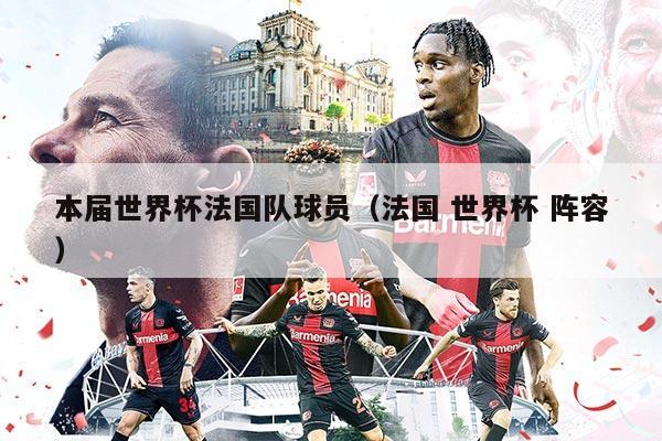 本届世界杯法国队球员（法国 世界杯 阵容）