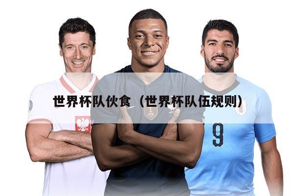 世界杯队伙食（世界杯队伍规则）