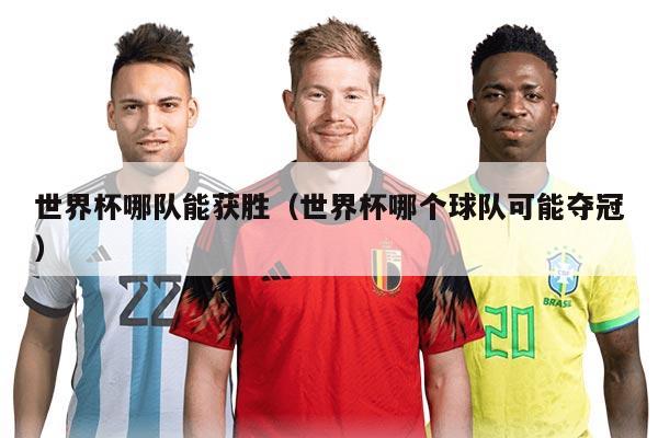 世界杯哪队能获胜（世界杯哪个球队可能夺冠）