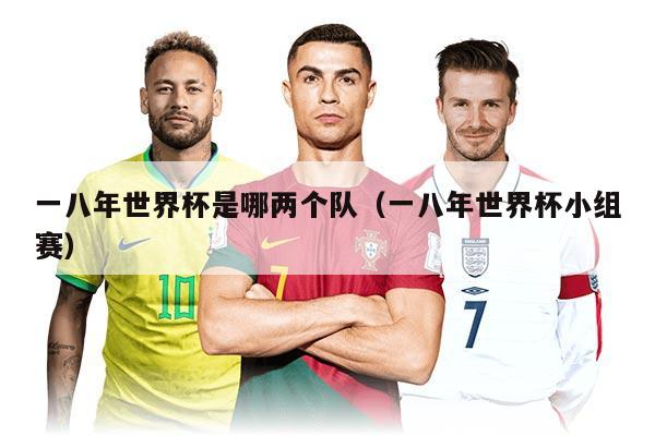 一八年世界杯是哪两个队(一八年世界杯小组赛)