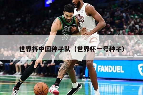 世界杯中国种子队(世界杯一号种子)