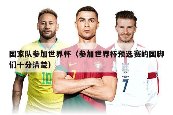 国家队参加世界杯(参加世界杯预选赛的国脚们十分清楚)